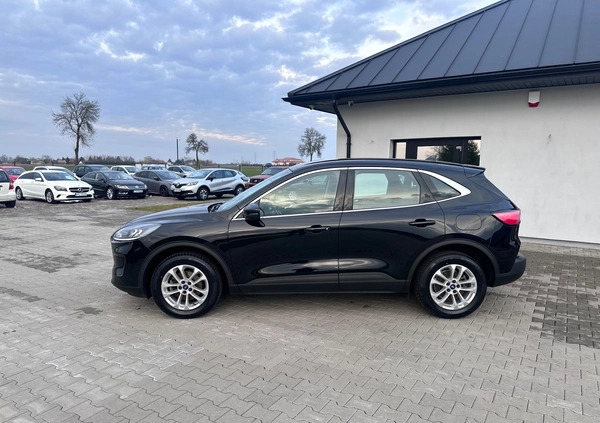 Ford Kuga cena 80900 przebieg: 99000, rok produkcji 2020 z Nowe Brzesko małe 596